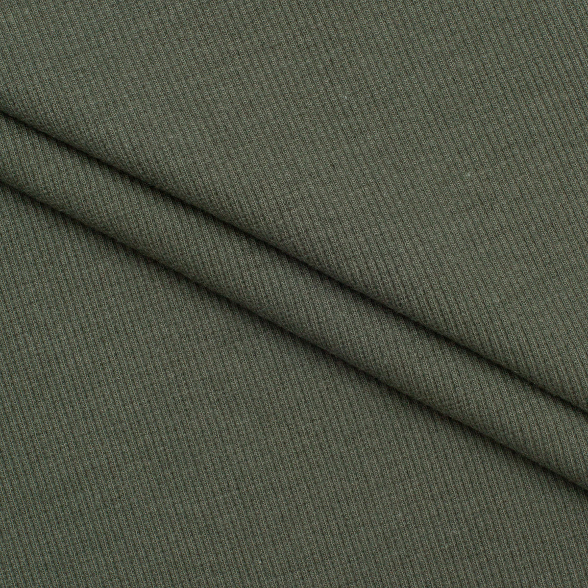 ŚCIĄGACZ BAWEŁNIANY 2X1 Z ELASTANEM - KHAKI - 350 G/M2 Główne zdjęcie produktu