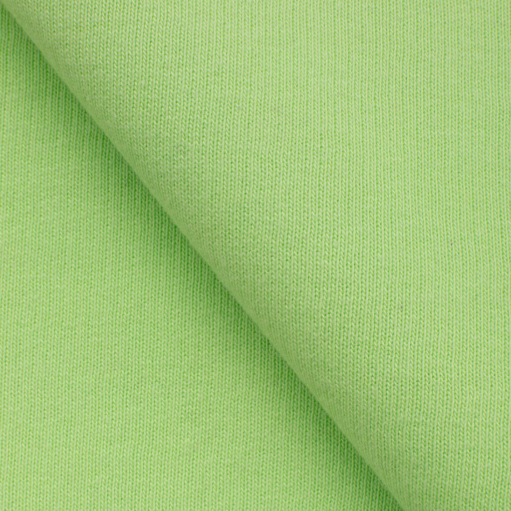 Dresówka pętelkowa drapana 280 g/m2 - tropikalna zieleń
