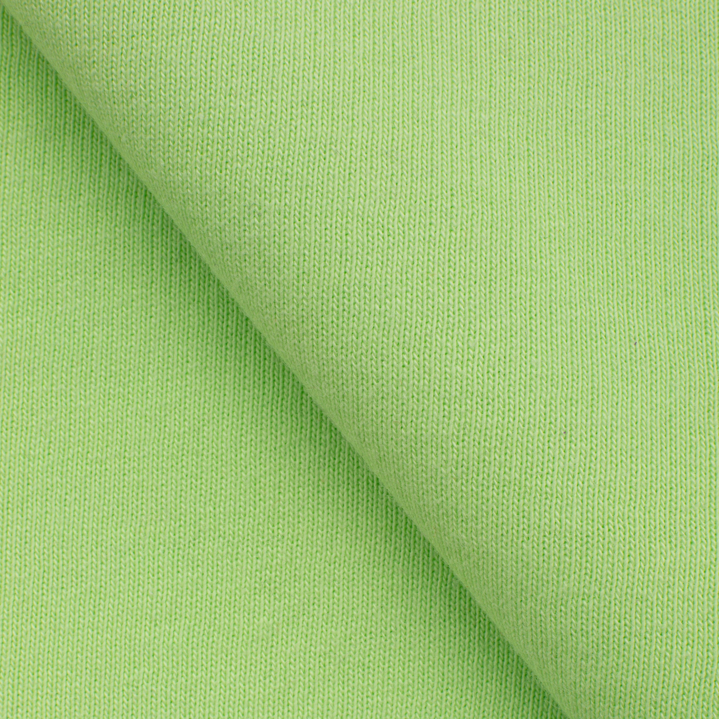 Dresówka pętelkowa drapana 280 g/m2 - tropikalna zieleń